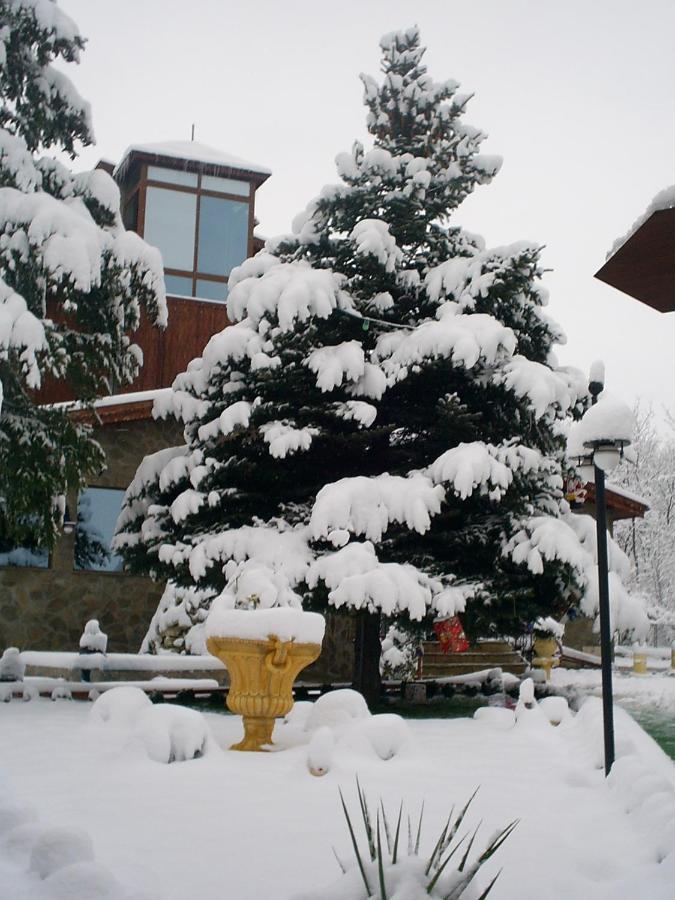 Хотел Галина Палас Srem Exteriör bild